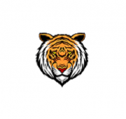 Ranthambore SafariBooking