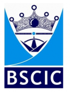 BSCIC Certification