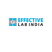 Effectivelab India